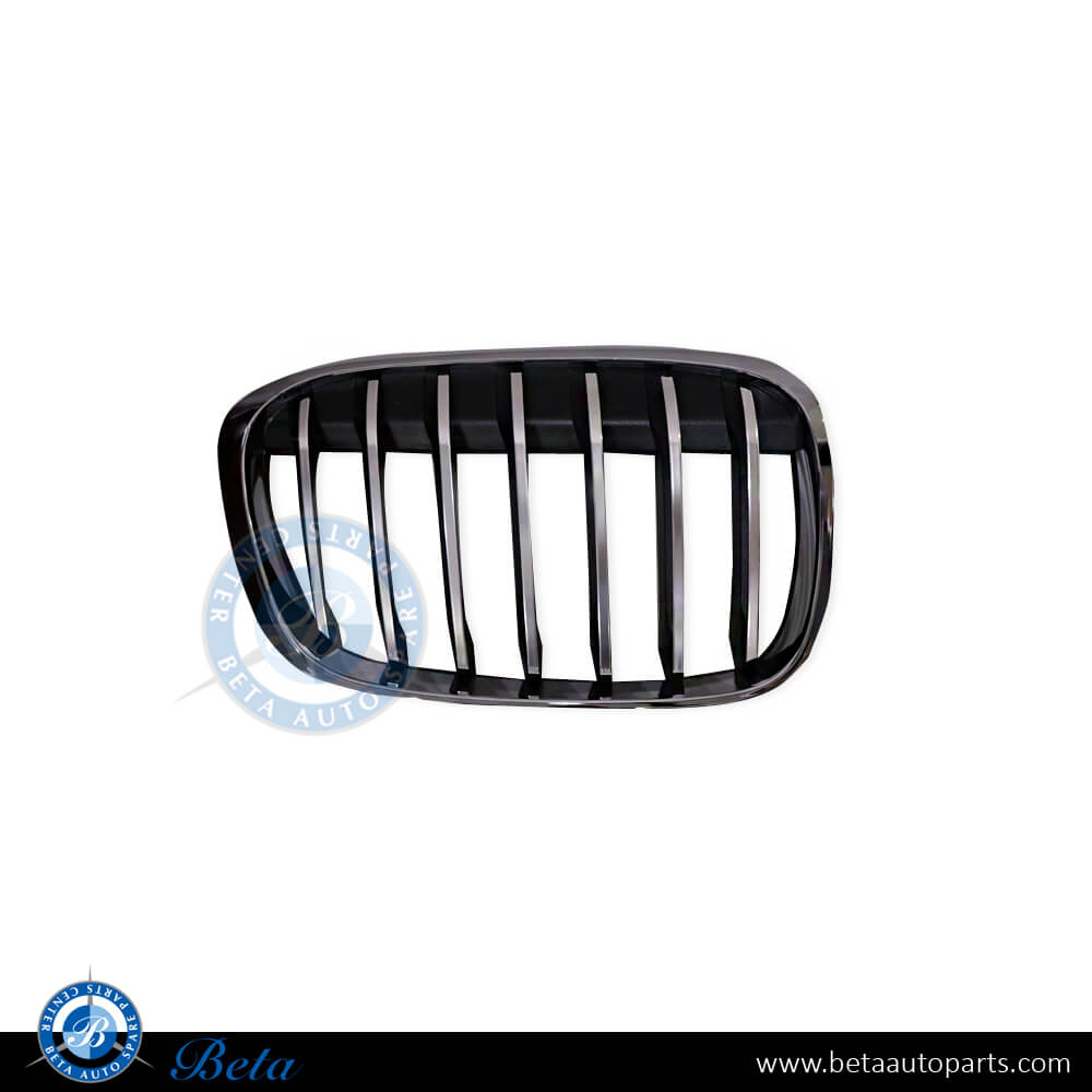 Right Side Grille X-Line for BMW X1 F48 2016-2019 models, Part Number 51117383366 Right Side Grille X-Line for BMW X1 F48 2016-2019 models, Part Number 51117383366
